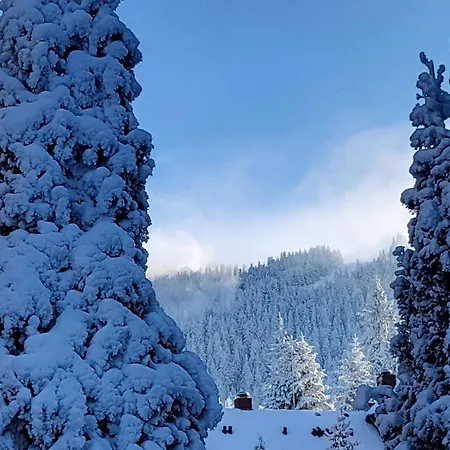Appartement Pinewood Ang Premium Luxurious 15 Borovets