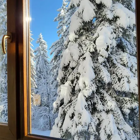 Pinewood Ang Premium Luxurious 15 Appartement Borovets