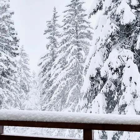 Pinewood Ang Premium Luxurious 15 * Borovets